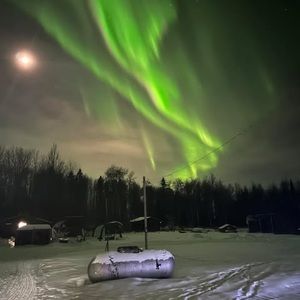 Meet your Posher, Jacqueline